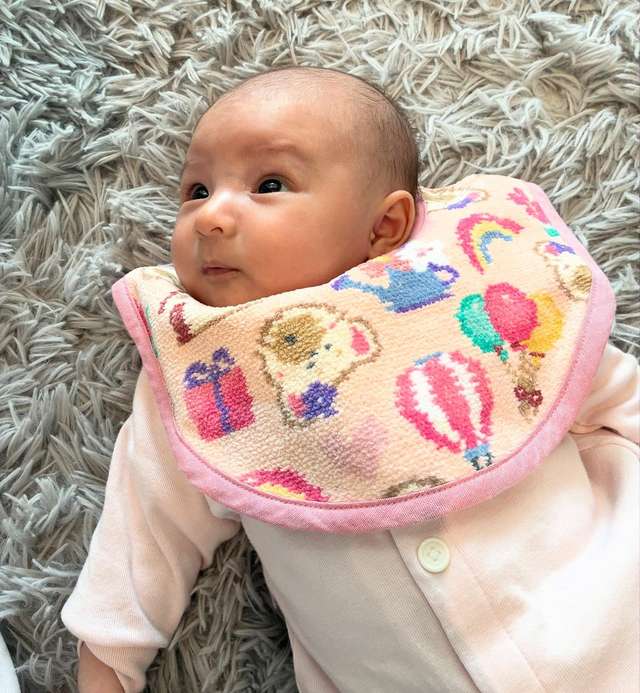 リリアドリーミーハウス プティバス(ペールアプリコット): FEILER