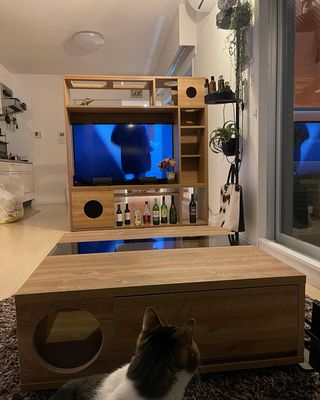 ローテーブル(シャビーナチュラル)猫穴付きで安心の日本製 | 【公式