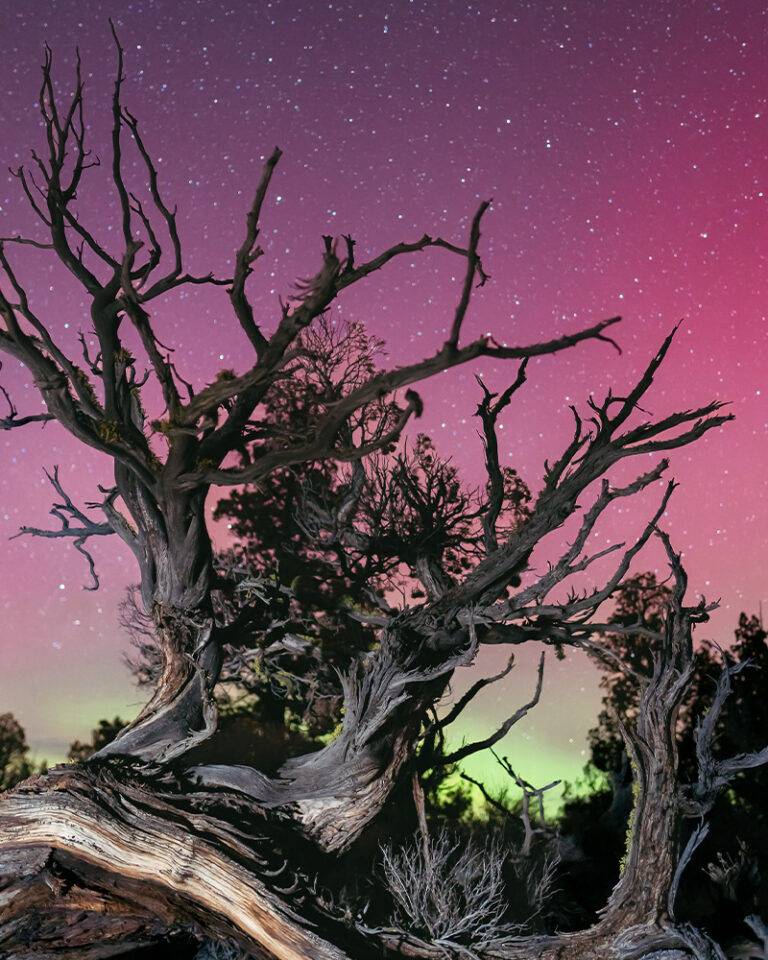 Stargazing in Bend and beyond, including the world's largest dark