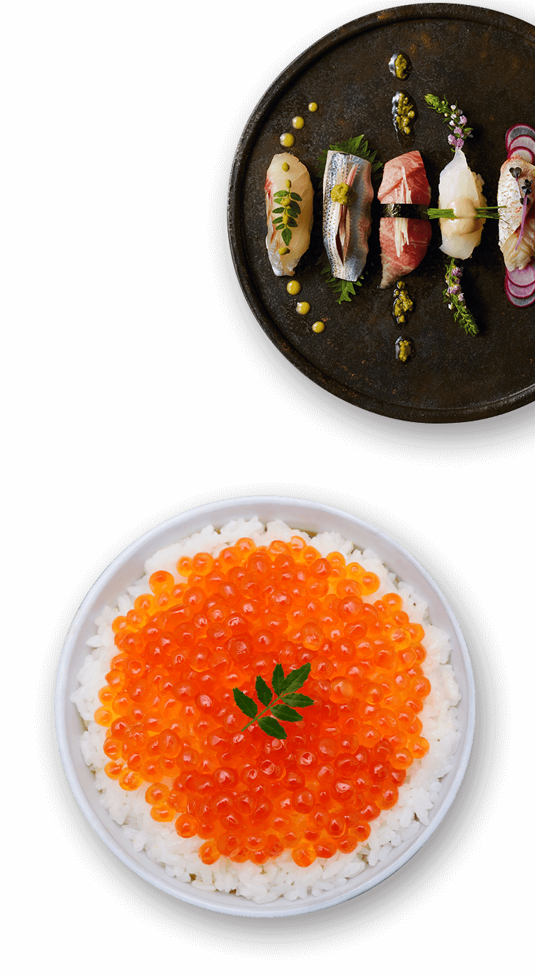 グルメサプリ 〉ターミナリアファーストで食事を愉しむ｜ビタブリッド