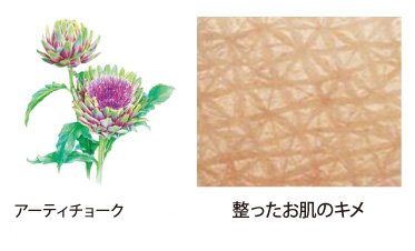 医薬部外品 薬用 オウゴンアクアMKパック ジョアエコ280MK｜VIVANT