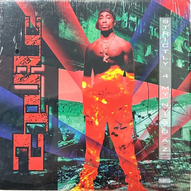 2Pac｜Strictly 4 My N.I.G.G.A.Z(LP)｜レコード通販｜vivrantdiscstore