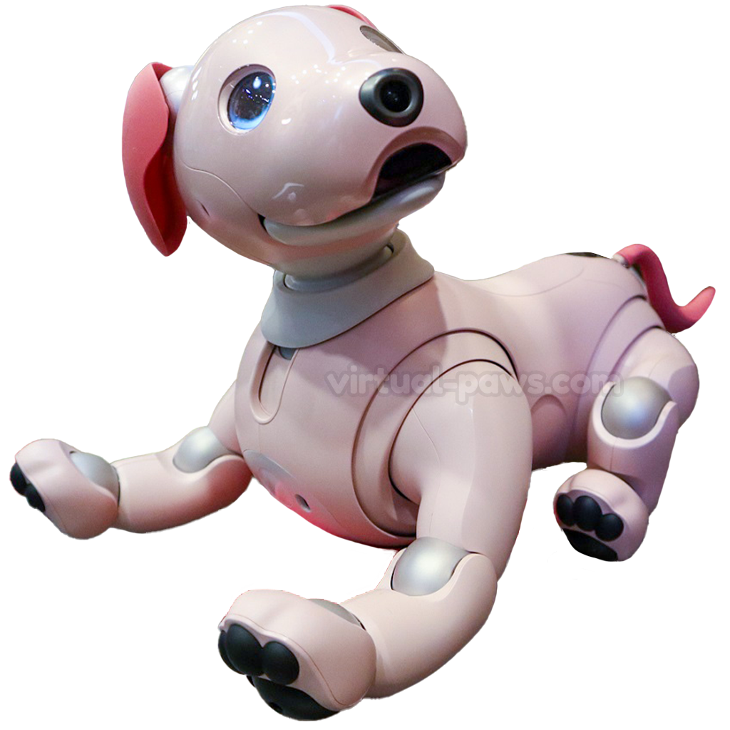 Aibo ERS-1000 Overview | Learn About Aibo | Virtual Paws