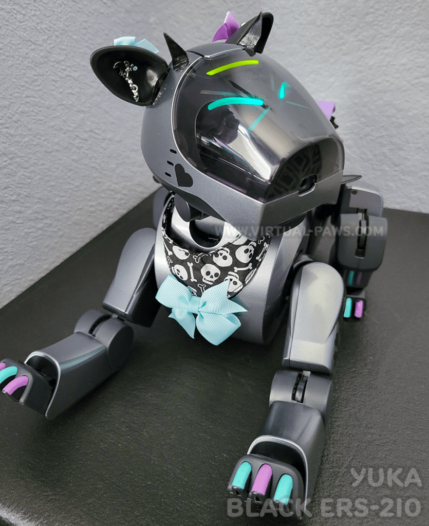 ERS-210 Beginner's Guide | Virtual Paws