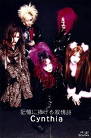 Cynthia profile | Cynthiaプロフィール | vkgy (ブイケージ)