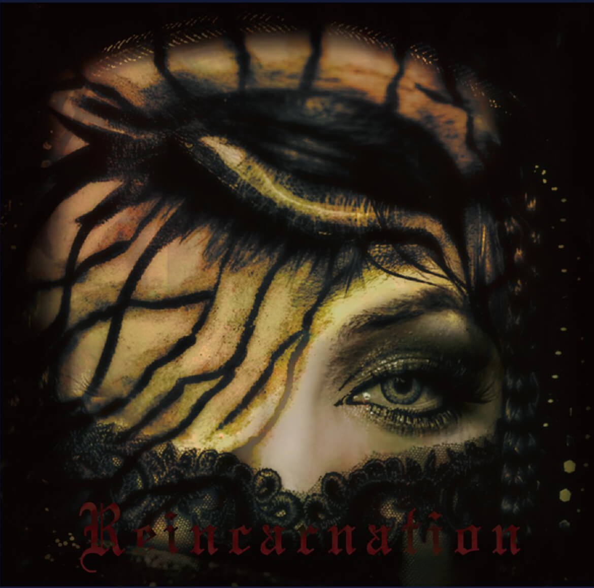 Schwarz Stein discography | Schwarz Steinディスコグラフィ | vkgy