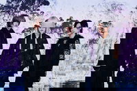 Shintenchikaibyaku Shuudan- ZIGZAG discography | -真天地開闢集団