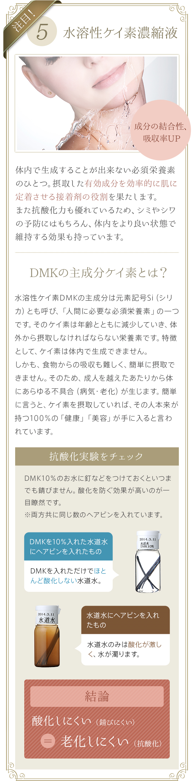 株式会社ワムのDMK stick