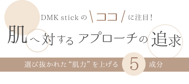 株式会社ワムのDMK stick