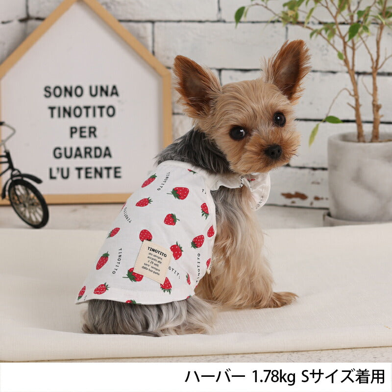 イチゴプリントキャミソール XS/S/M/L/XL/XXL TINOTITO -ティノ
