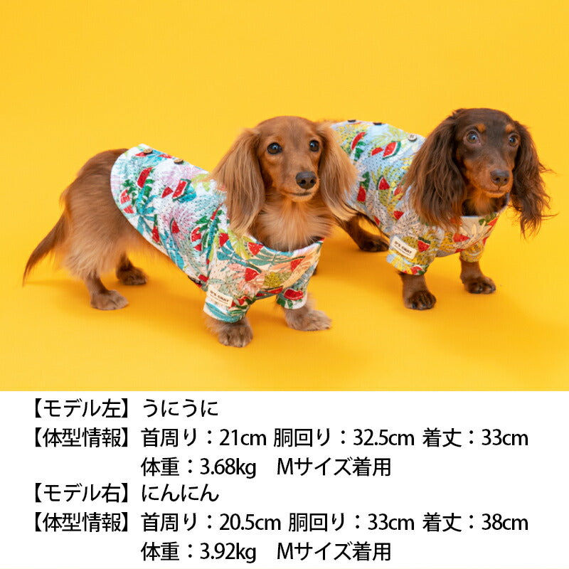 アロハ柄背開きシャツ XS/S/M/L/XL/XXL/DS/DM D's Chat-ディーズ