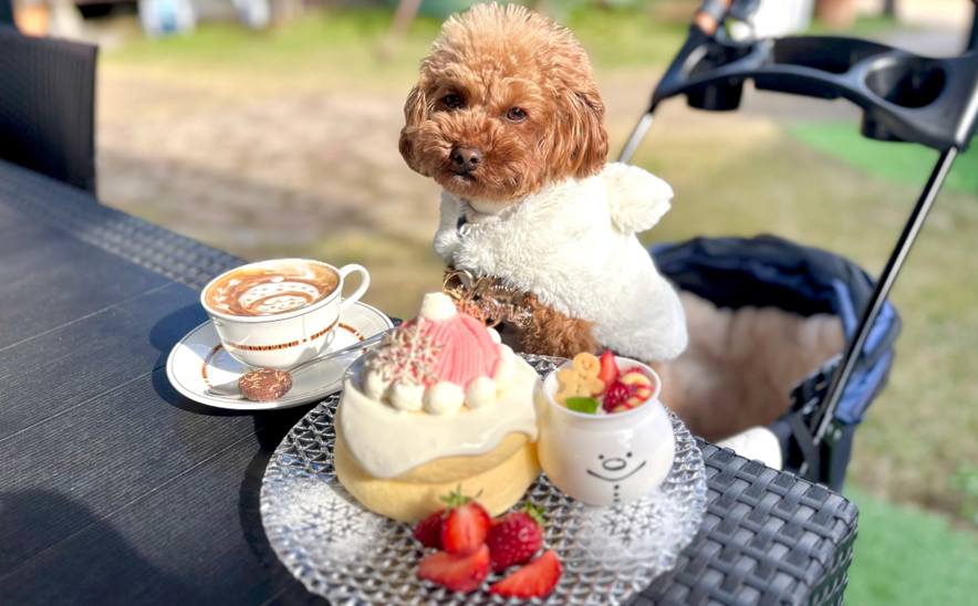 奈良/橿原市】トイチパンケーキ橿原本店「ふわっふわ！口の中で一瞬で