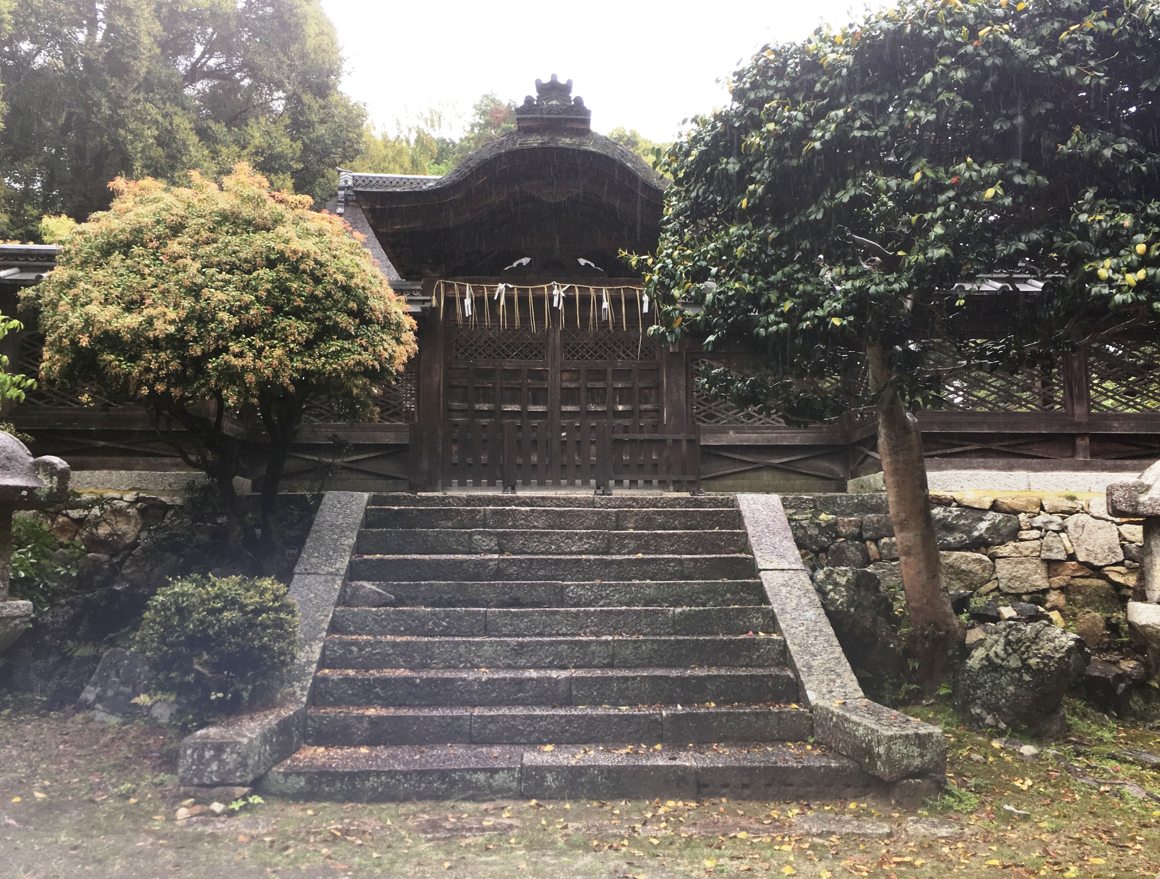 国宝-建築｜新羅善神堂［三井寺/滋賀］ | WANDER 国宝