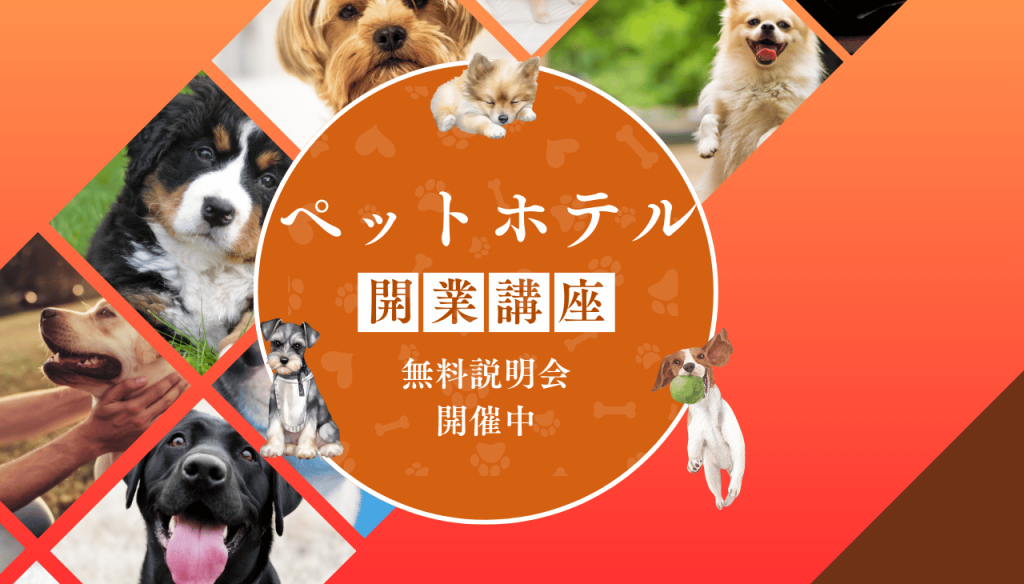 ペットホテル開業講座｜犬の基礎から集客方法までまるっと学べる