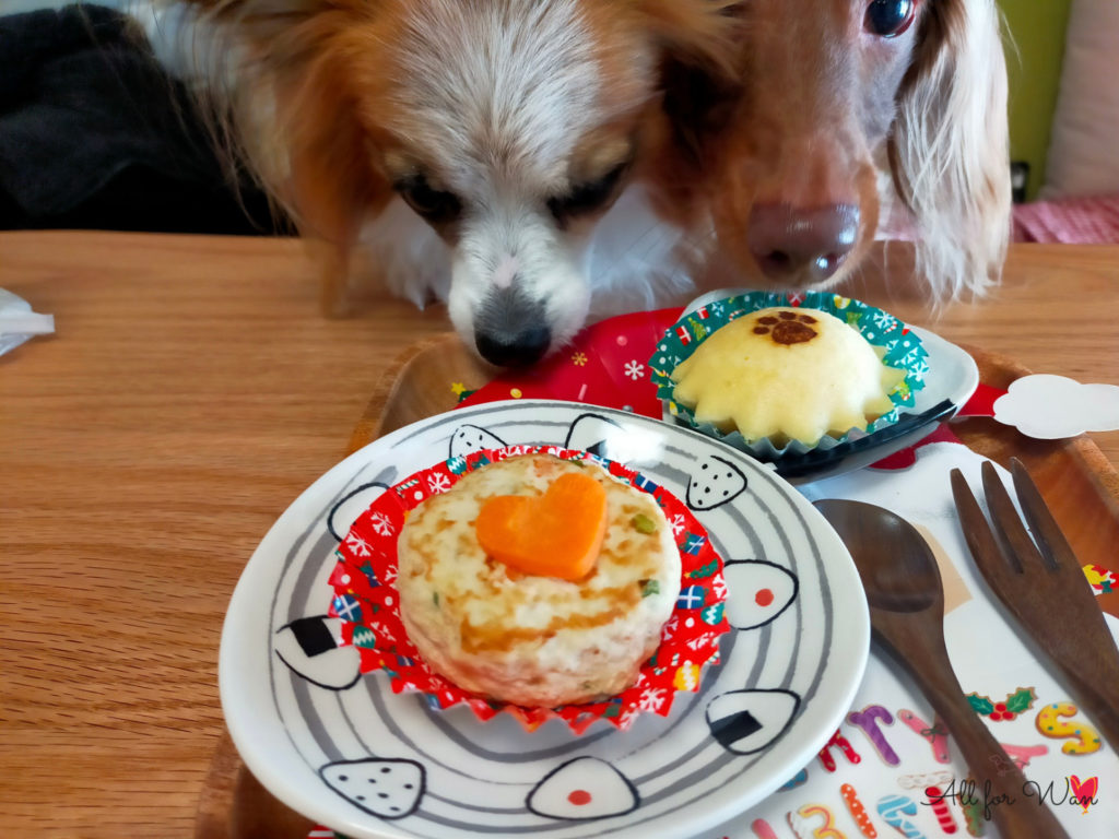 伊賀】居心地満点のドッグカフェ「かふぇZikka(ジッカ)」はランも無料