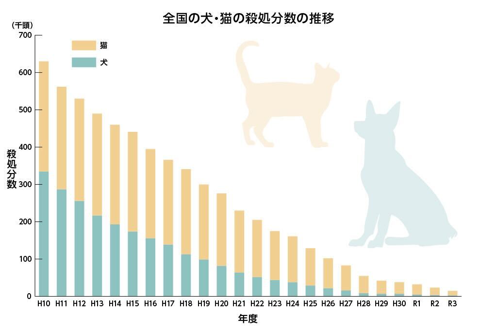 うちのこ肖像画 売り上げの一部を地元の犬猫保護団体に寄付させて頂き