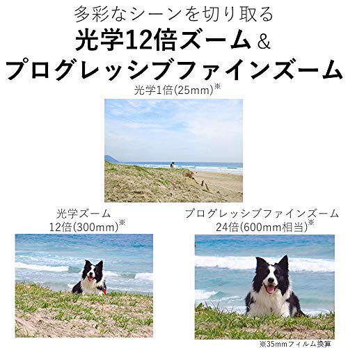 Canon IXY 650 silver compact digital camera 12x optical zoom Wi-Fi