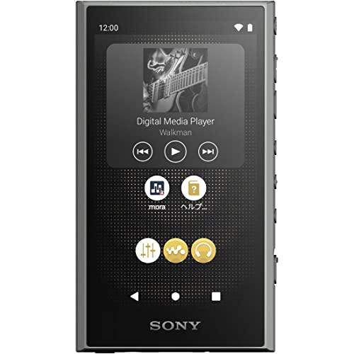 SONY Walkman A300 Series NW-A306 Hi-Res Wireless 32GB Gray – WAFUU