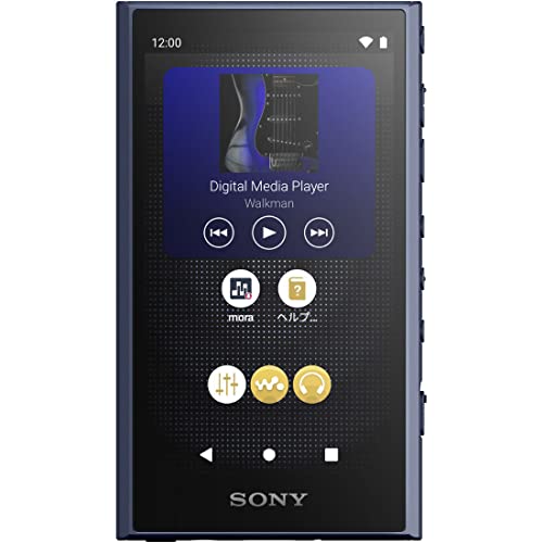 SONY Walkman 32GB A300 Series NW-A306 Blue LC : Wireless also Hi
