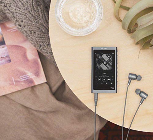 SONY ソニー ウォークマン Aシリーズ 16GB NW-A55 – WAFUU JAPAN