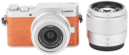 Panasonic MirrorLess Digital Camera LUMIX GF9 Double Zoom Lens Kit