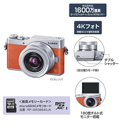 Panasonic MirrorLess Digital Camera LUMIX GF9 Double Zoom Lens Kit
