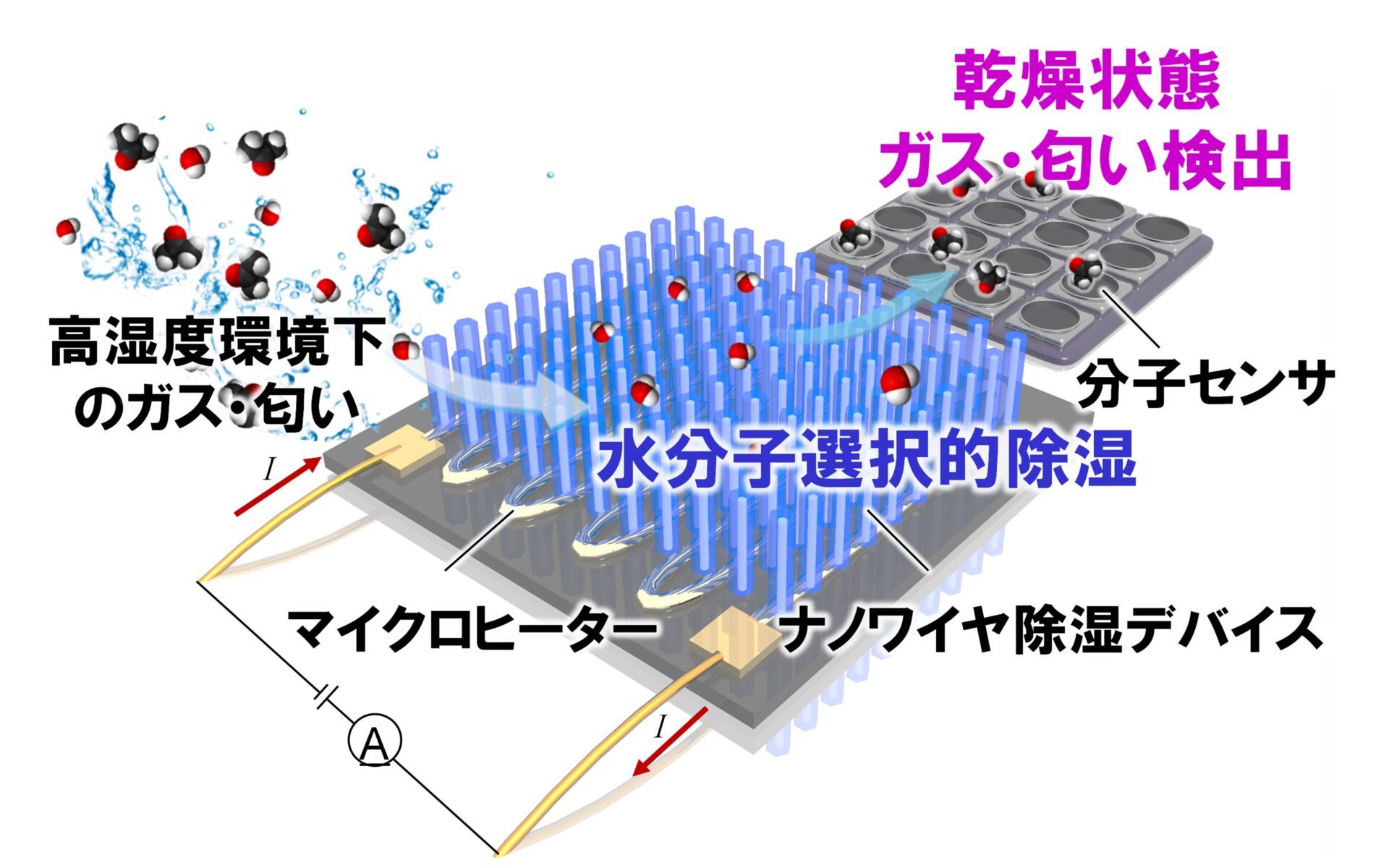 ポストシリコン半導体材料として期待される原子層半導体への新規