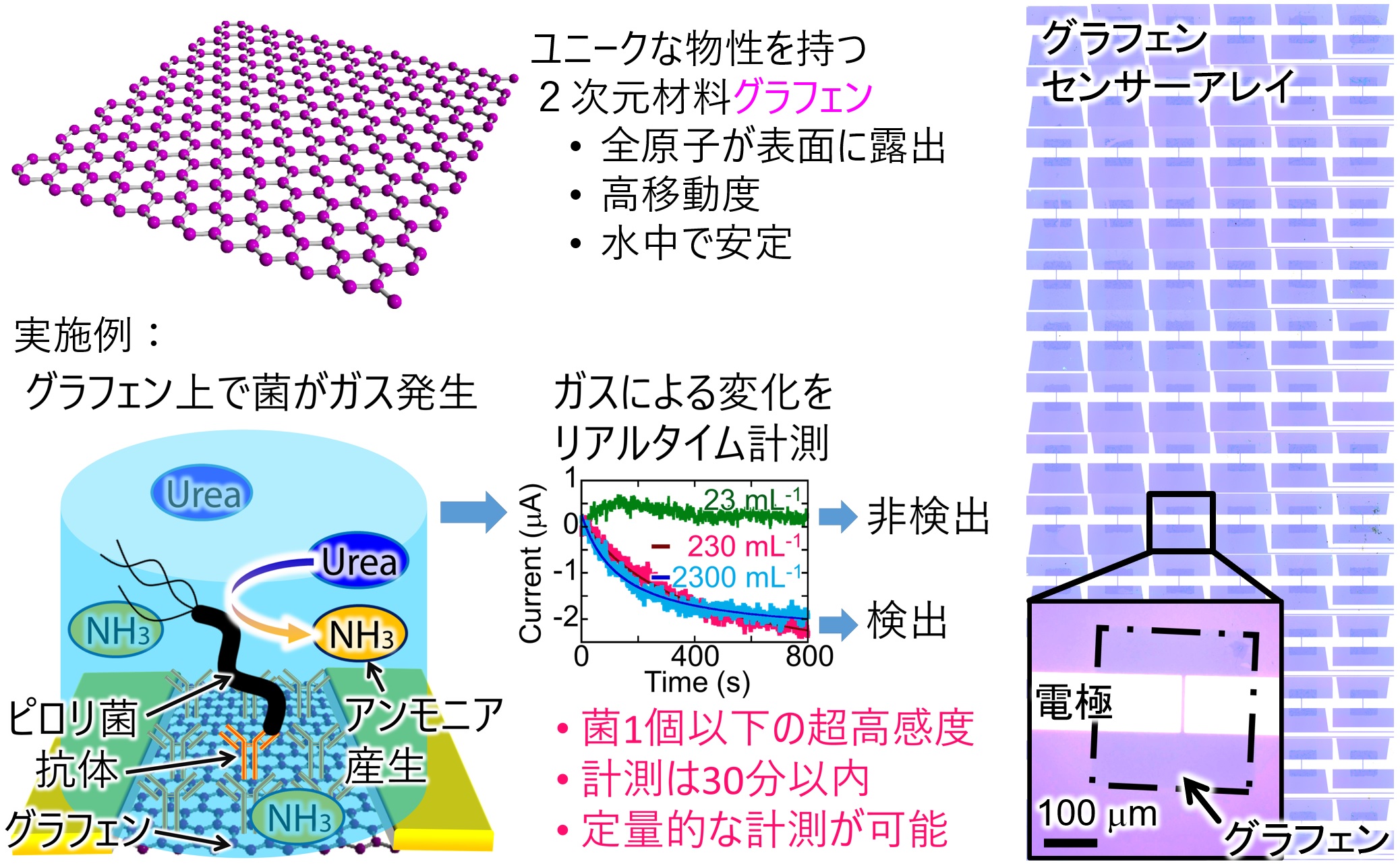 グラフェンを用いた高感度なセンサーの開発｜若手研究者産学連携