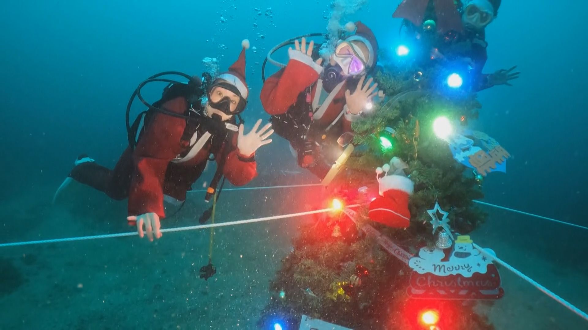 串本町の海中に「クリスマスツリー」が設置 | 海と日本PROJECT in 和歌山県