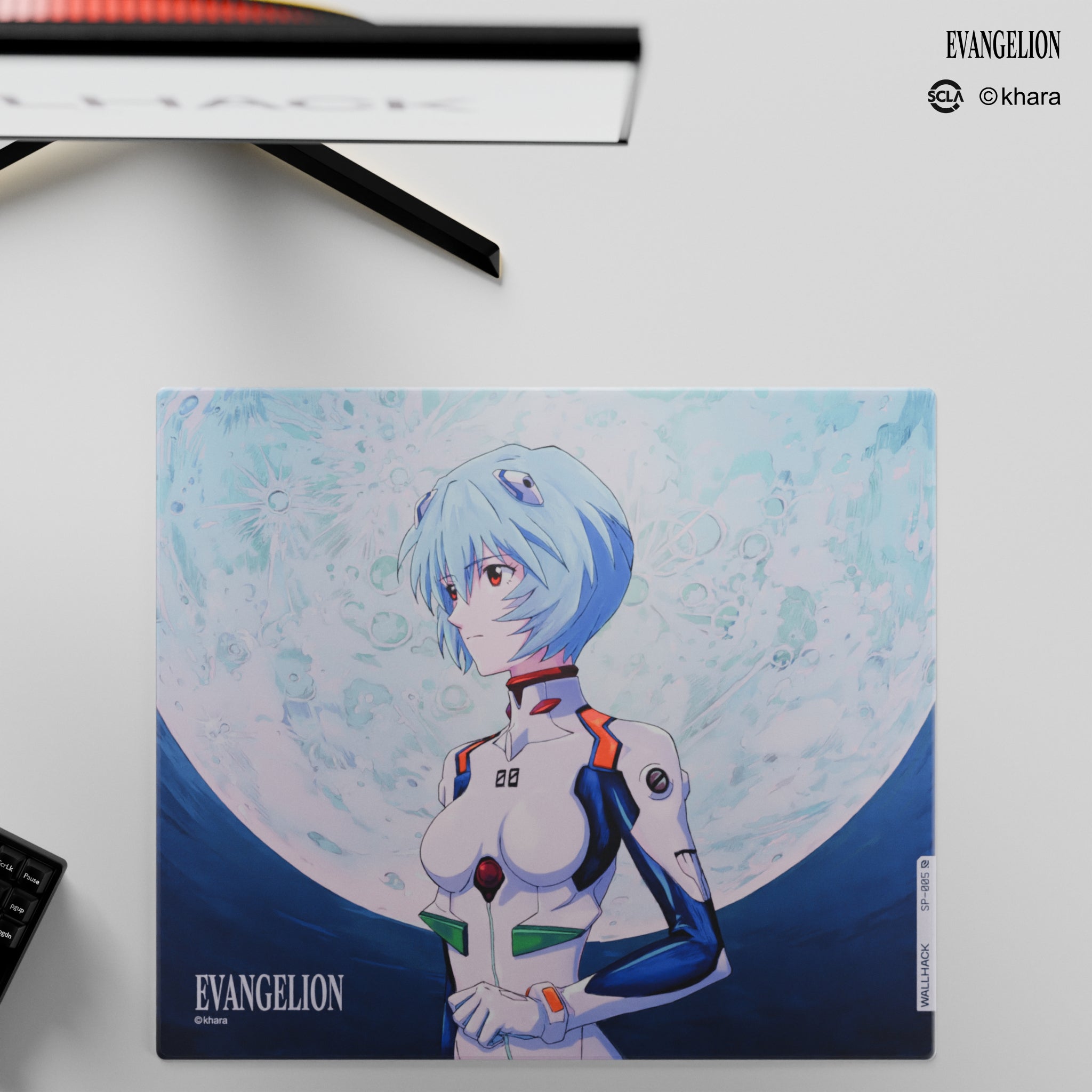 EVANGELION X WALLHACK | 27.01.2026 | Wallhack