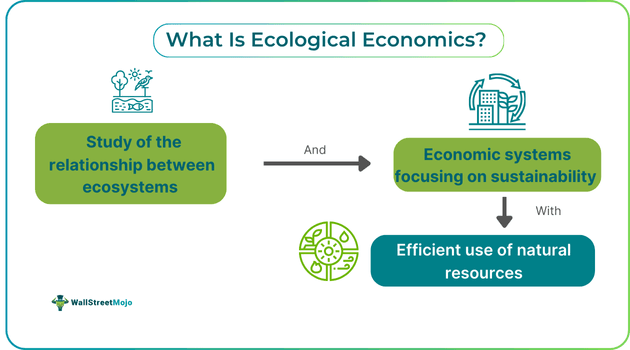 Ecological Economics - Definition, Examples