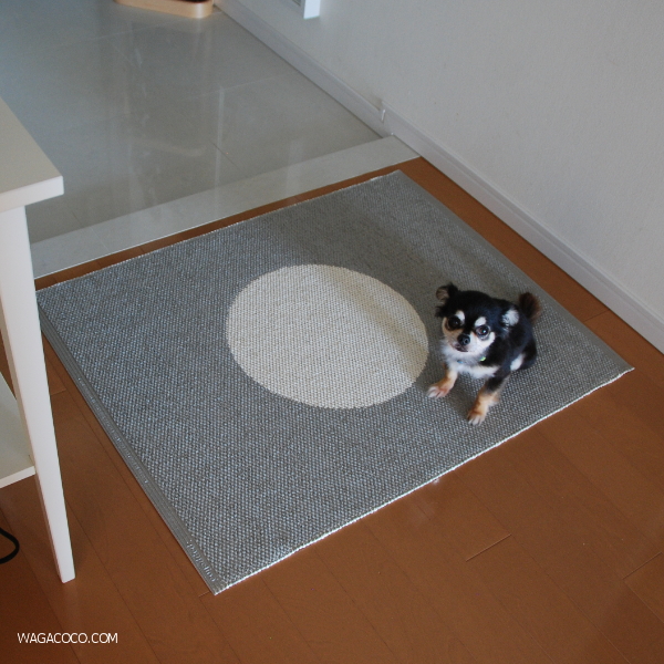 パペリナ】プレゼントキャンペーンのヴェラを玄関に敷いてみました