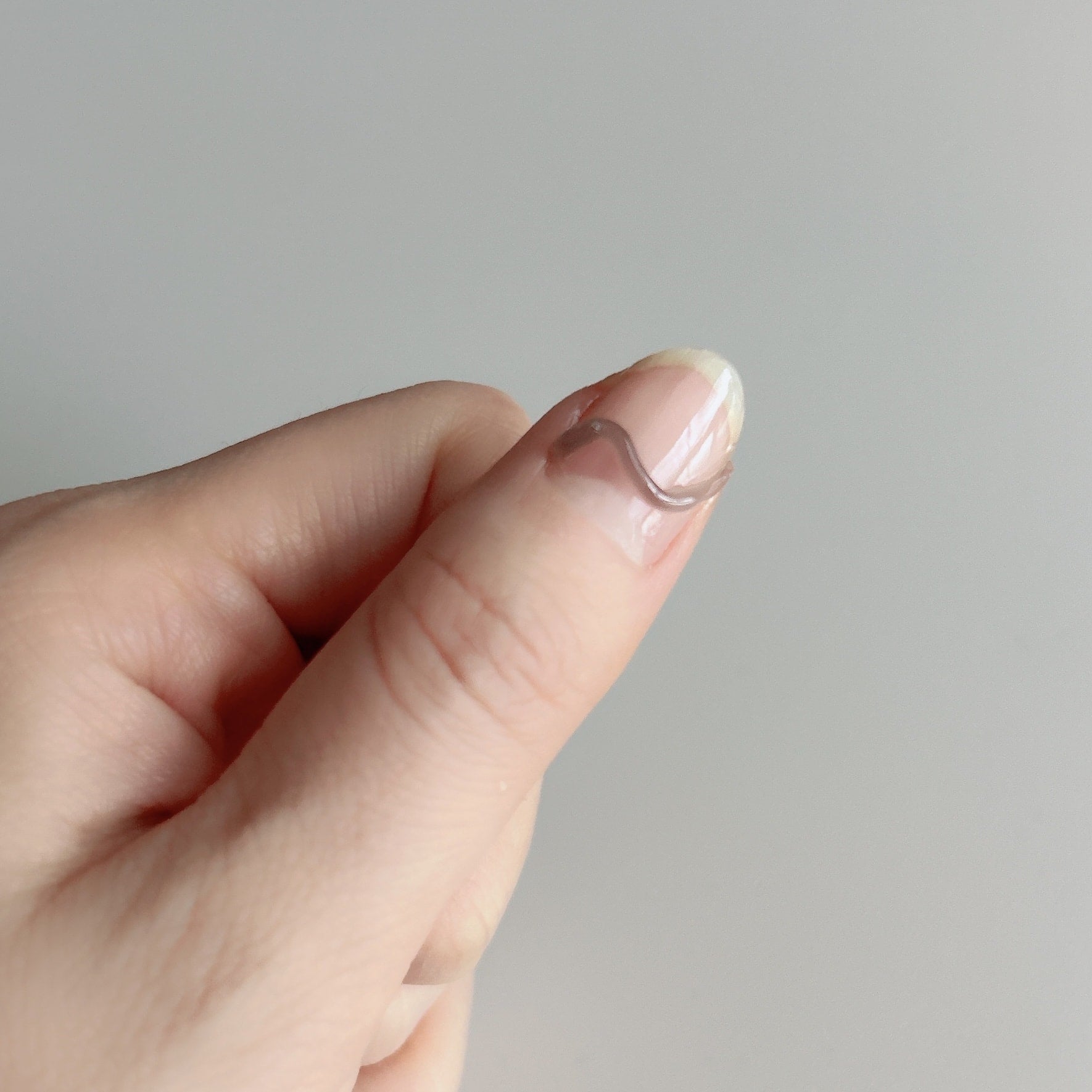 ジェルネイル ノズルタイプ ネイルアート PB. fasmy アイシングジェル