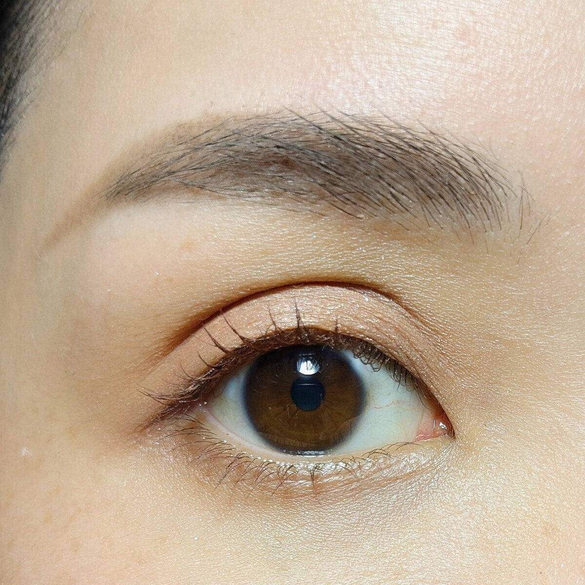 在庫限り】アイシャドウ ライナー 2 in 1 PB. fasmy マルチジェルアイ