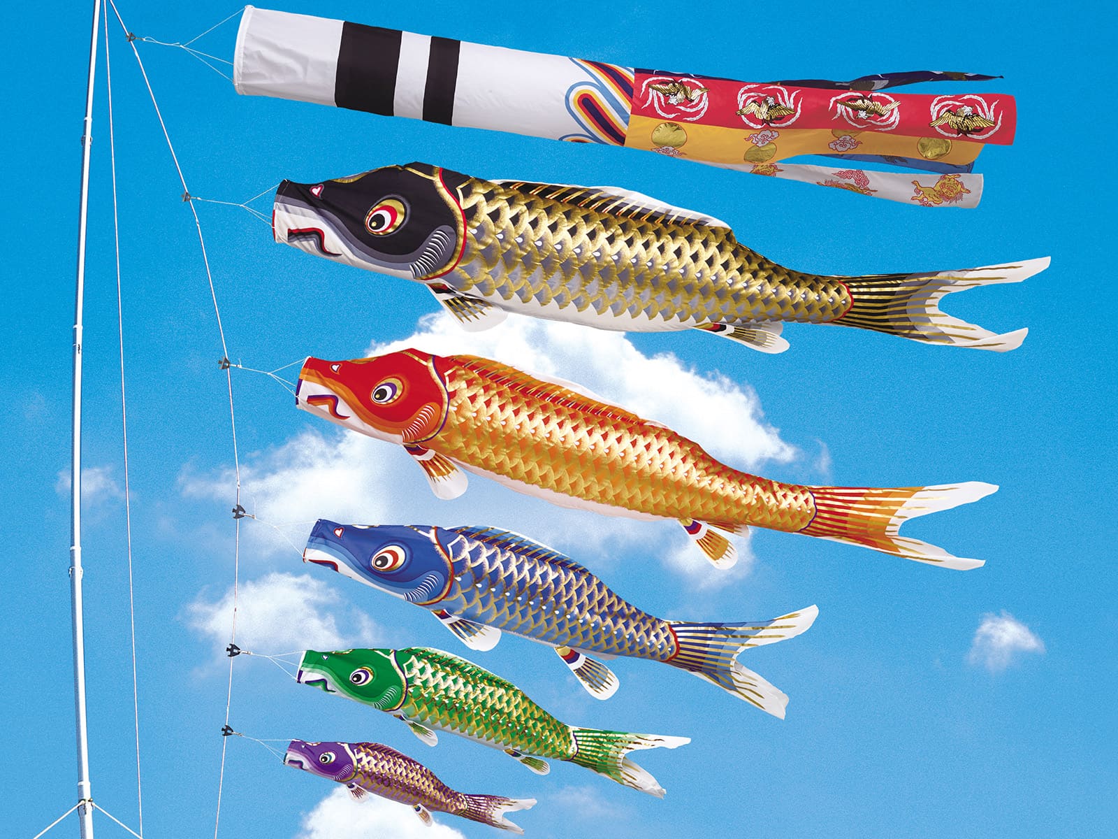 綾錦鯉のぼり 3m 6点セット 新品未開封 綾錦鯉のぼり 3m 6点セット