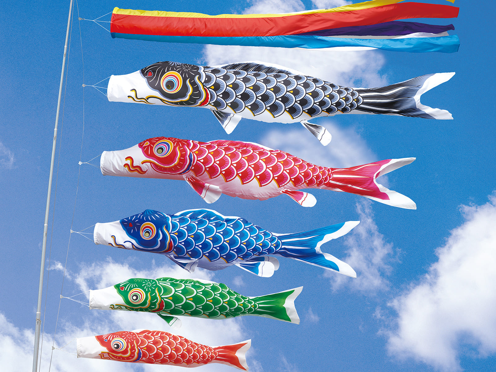 かなめ ｜ ワタナベ鯉のぼり