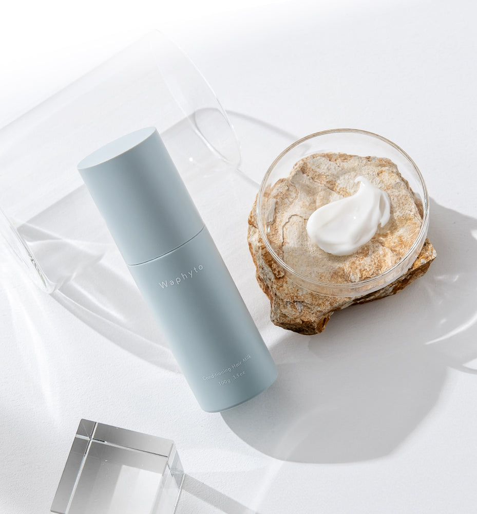 MAJESTA ウォッシュ+コンカα+ローション+ミルク MAJESTA ウォッシュ+