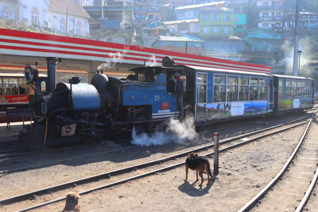 ダージリン・ヒマラヤ鉄道に乗ってみよう！チケット予約・時刻表・座席
