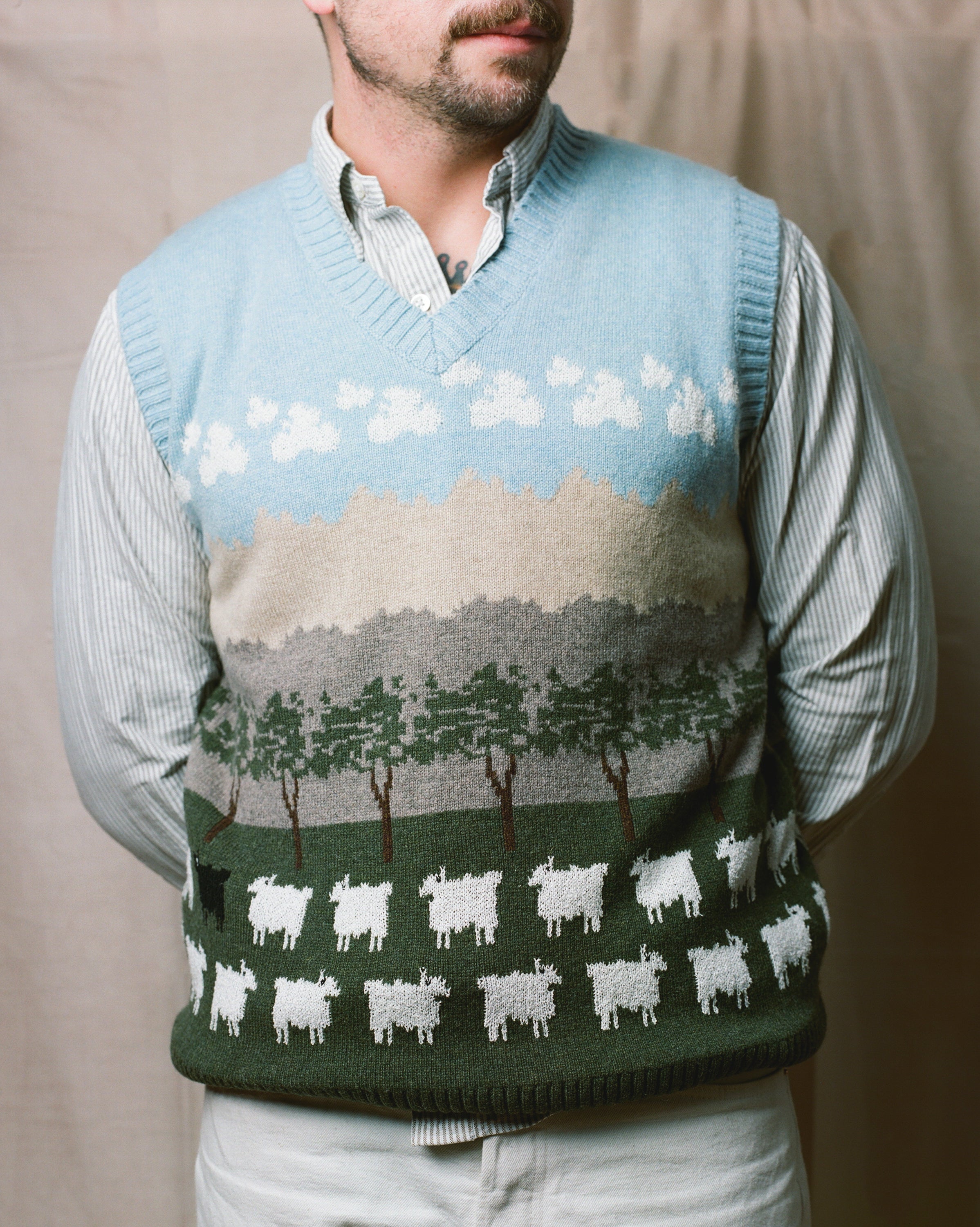 Scenic Sheep Vest – Warm & Wonderful