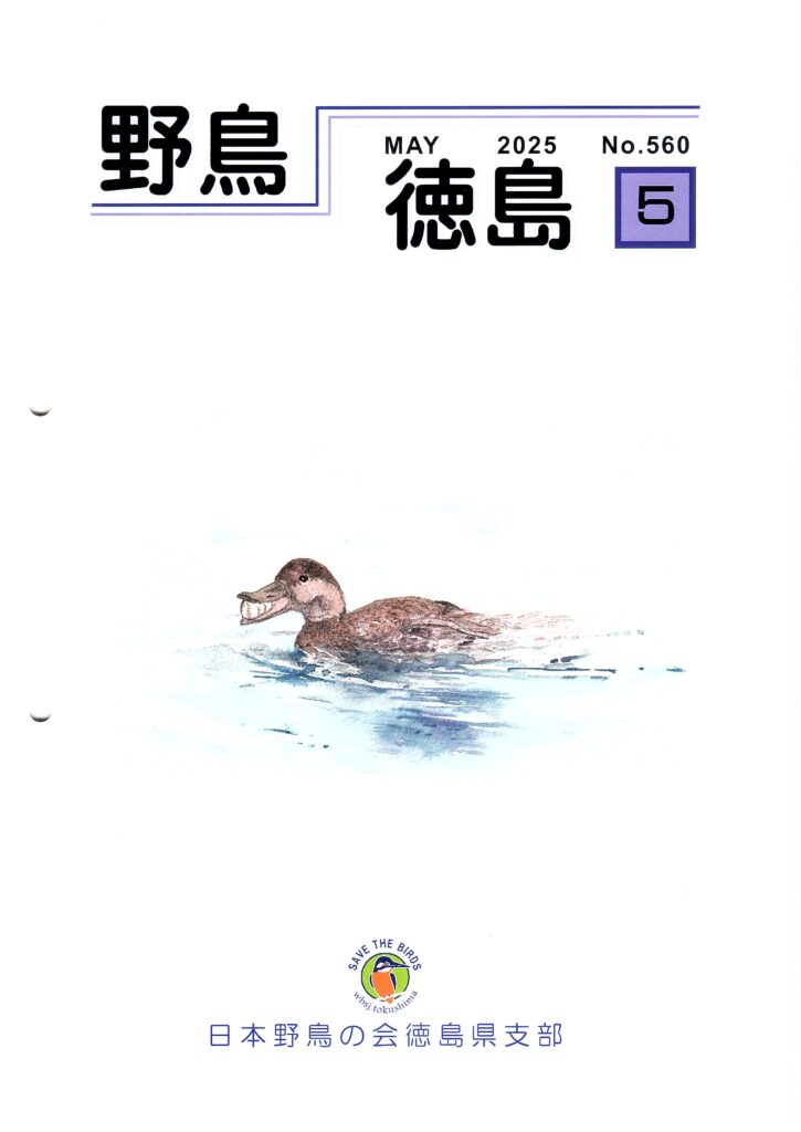 支部報（野鳥徳島） | 日本野鳥の会徳島県支部