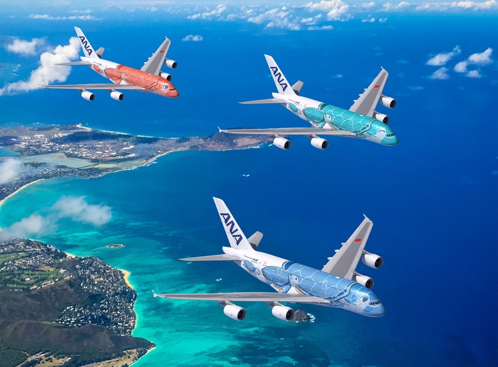 搭乗レポ】ハワイハネムーンは、空飛ぶウミガメANA「FLYING HONU