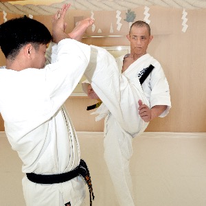 全集版肥田式強健術 第6巻（DVD) | DVD | 武道・武術の総合情報サイト