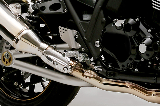 KAWASAKI ZRX1200DAEG（ZR1200D） | 株式会社デイトナの最新情報が