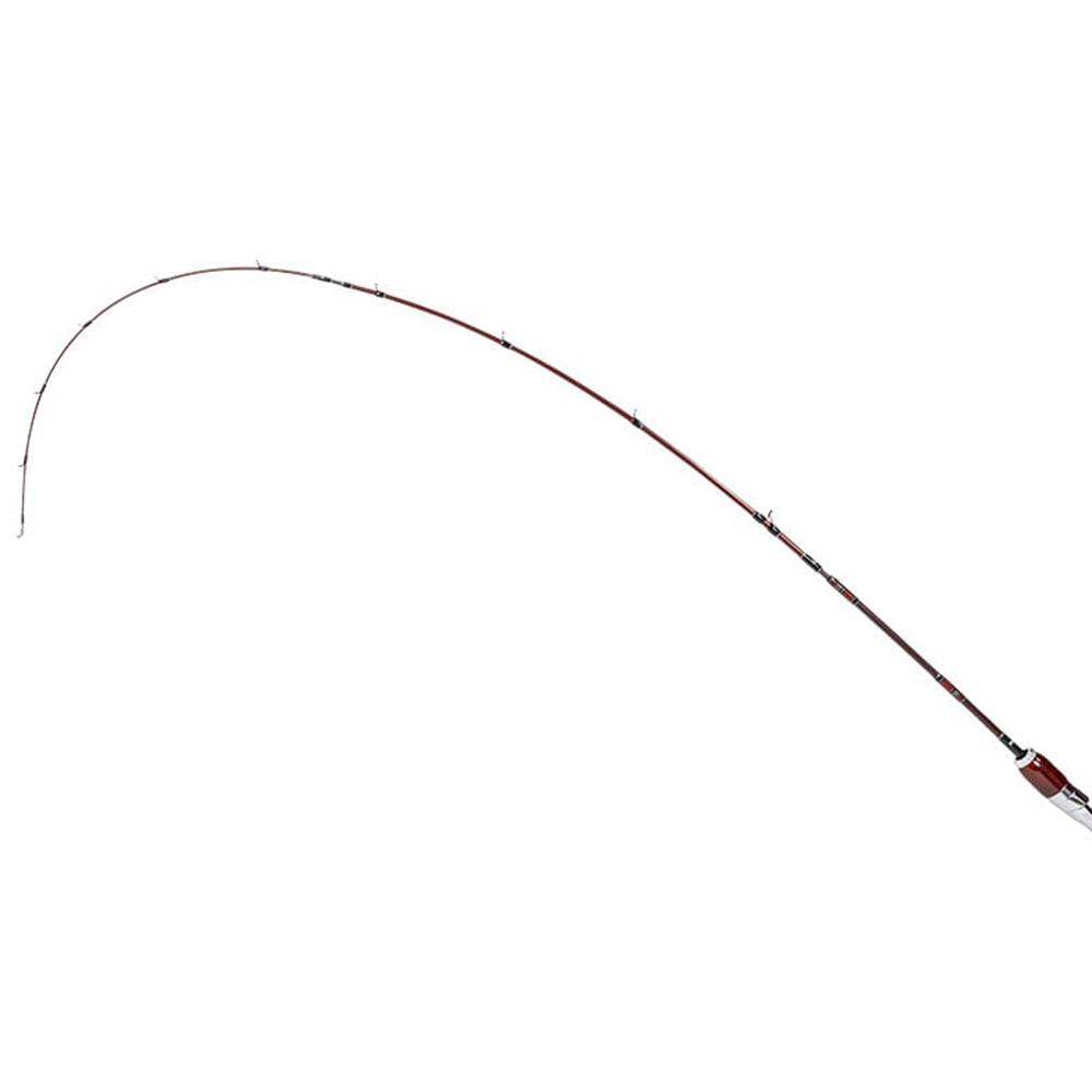 10th Anniversary 数量限定モデル 】Fishman フィッシュマン ビームス