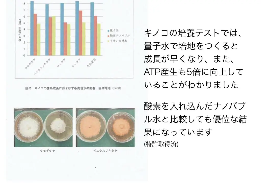 νG-7(ニュージーセブン) - 株式会社 ウエルネス