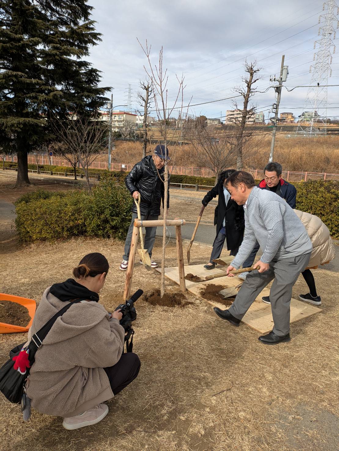 桜基金」で新たな桜を植樹 しました! | 【公式】we love tamaplaza project