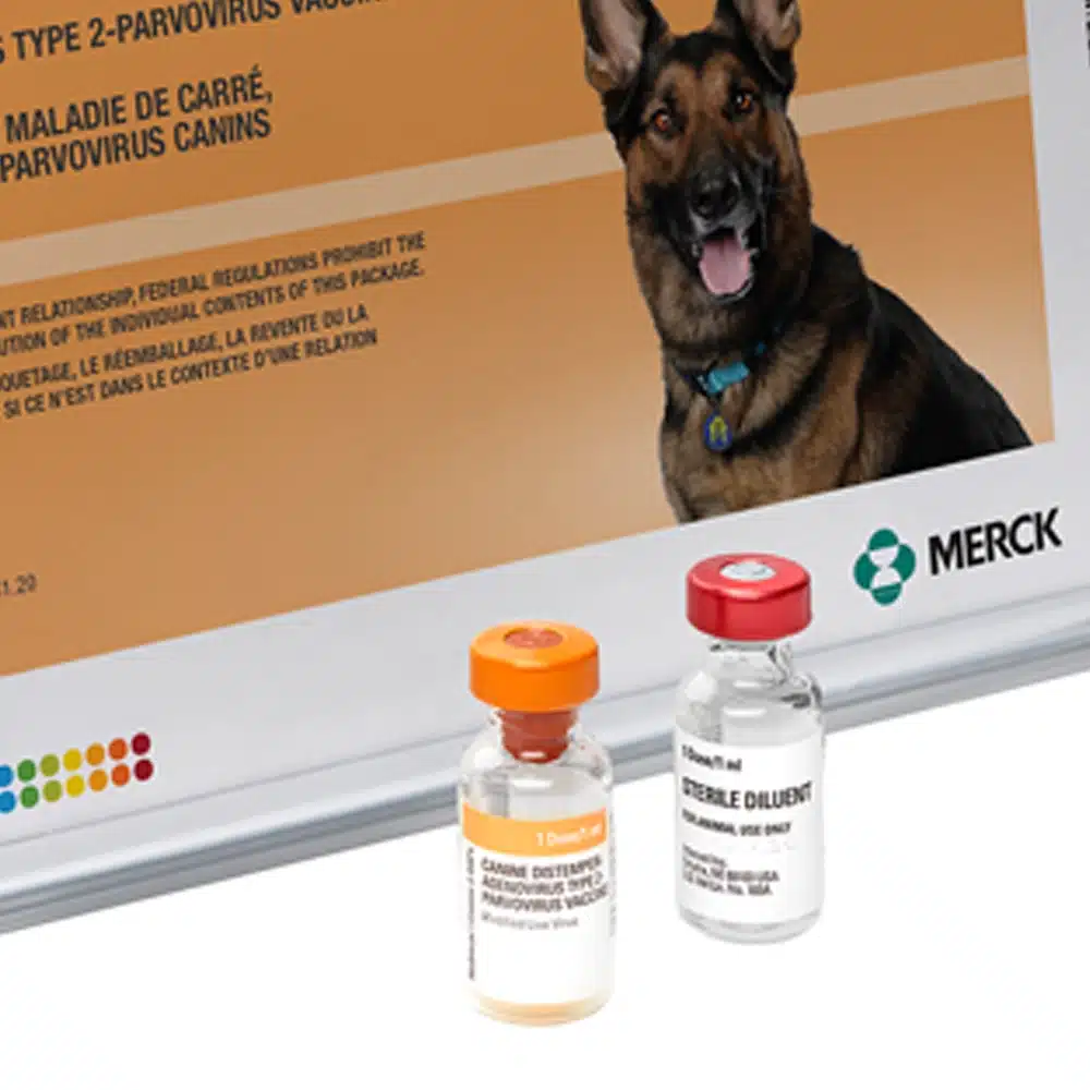 MERCK NOBIVAC Canine 3-DAPv - 1 mL Dose | WRS