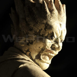 新薬師寺 十二神将 伐折羅【国宝】(326) – WePhoto