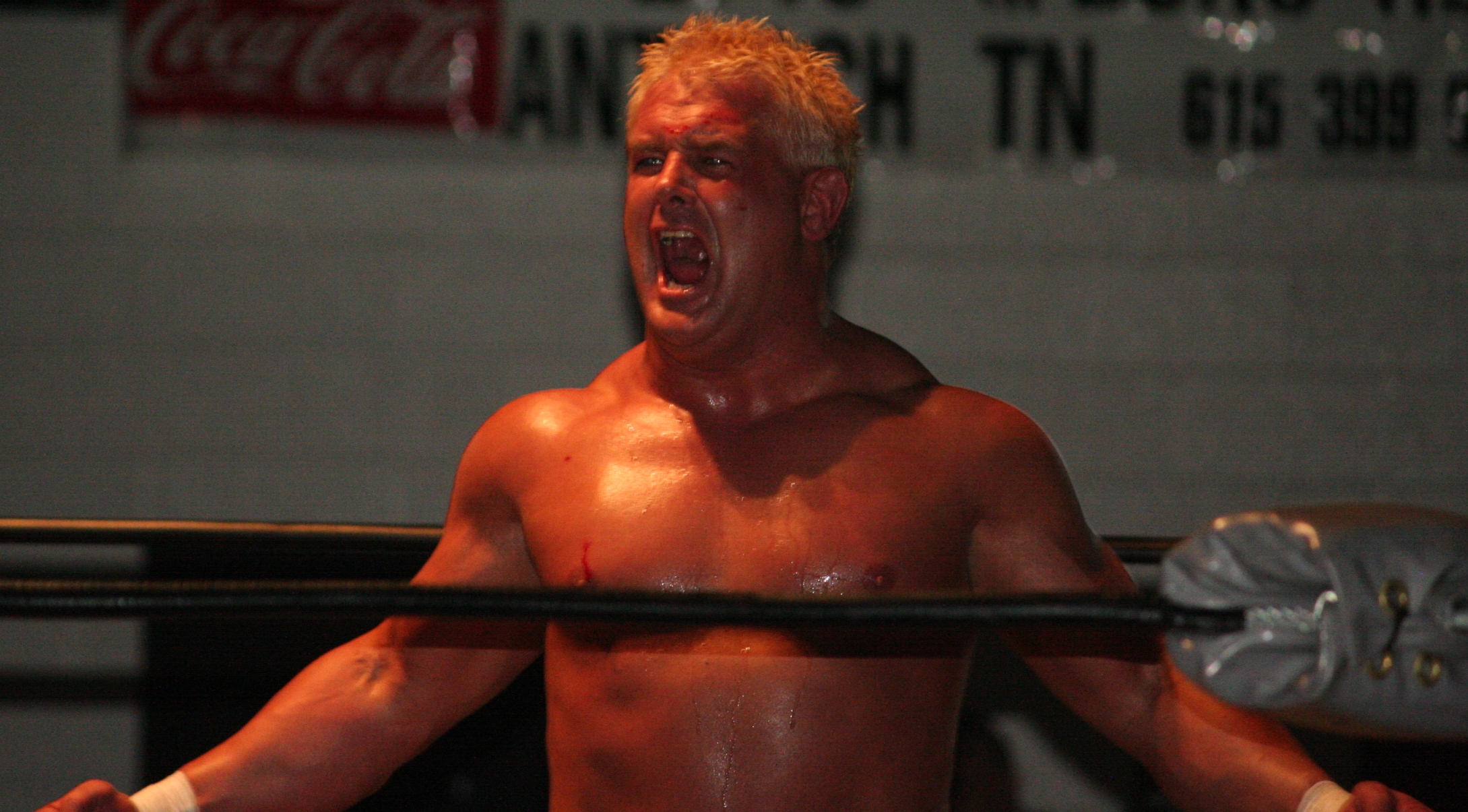 Brian Christopher Lawler, former WWE wrestler known as Grandmaster