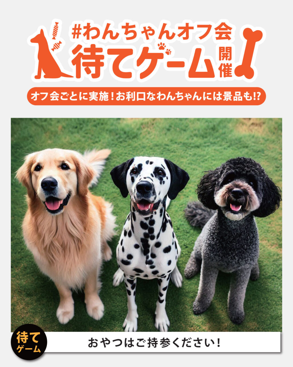 2025.5.23(金) 立ち耳犬(小型・中型犬)オフ会開催!！🐶 | WHATAWON